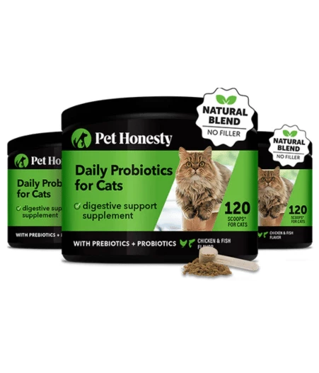 Digestive Probiotics Powder for Cats